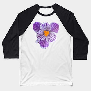 Stripy Purple Crocus Baseball T-Shirt